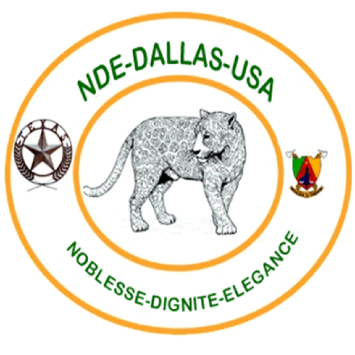 NDE Logo